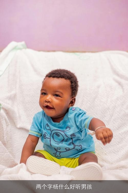 两个字杨什么好听男孩 两个字杨什么好听男孩