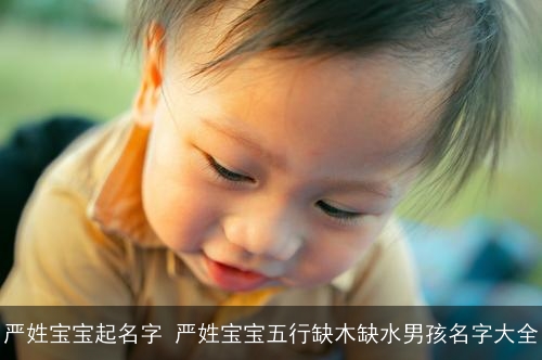 严姓宝宝起名字 严姓宝宝五行缺木缺水男孩名字大全 严姓宝宝起名字 严姓宝宝五行缺木缺水男孩名字大全