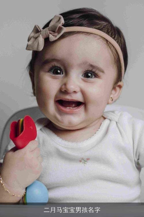 二月马宝宝男孩名字 二月马宝宝男孩名字