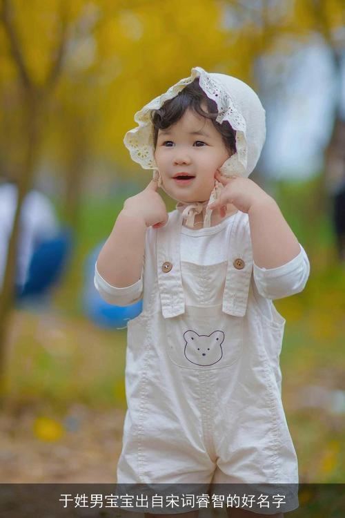 于姓男宝宝出自宋词睿智的好名字 于姓男宝宝出自宋词睿智的好名字
