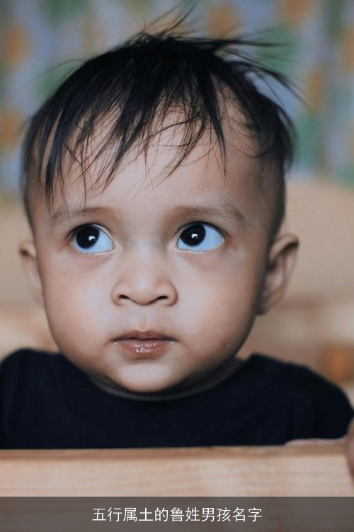 五行属土的鲁姓男孩名字 五行属土的鲁姓男孩名字