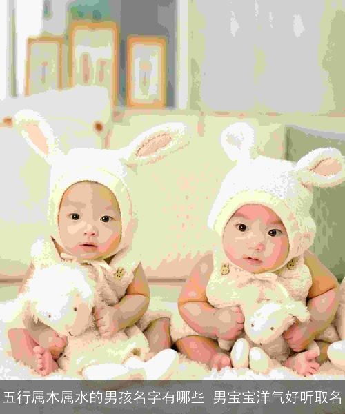 五行属木属水的男孩名字有哪些 男宝宝洋气好听取名 五行属木属水的男孩名字有哪些 男宝宝洋气好听取名