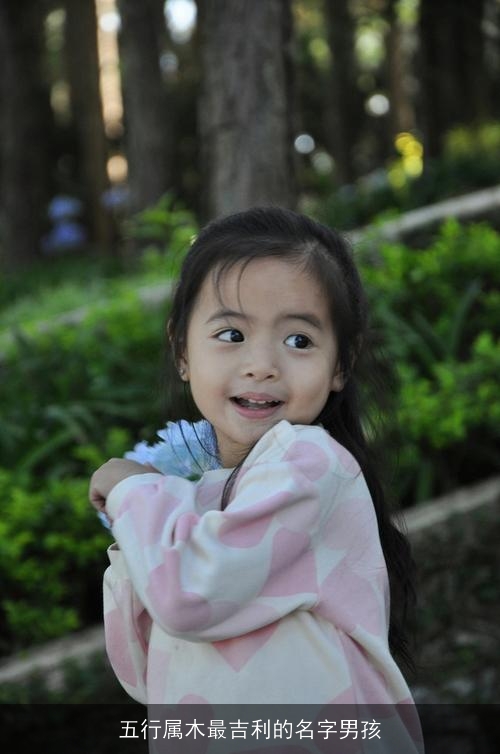 五行属木最吉利的名字男孩 五行属木最吉利的名字男孩