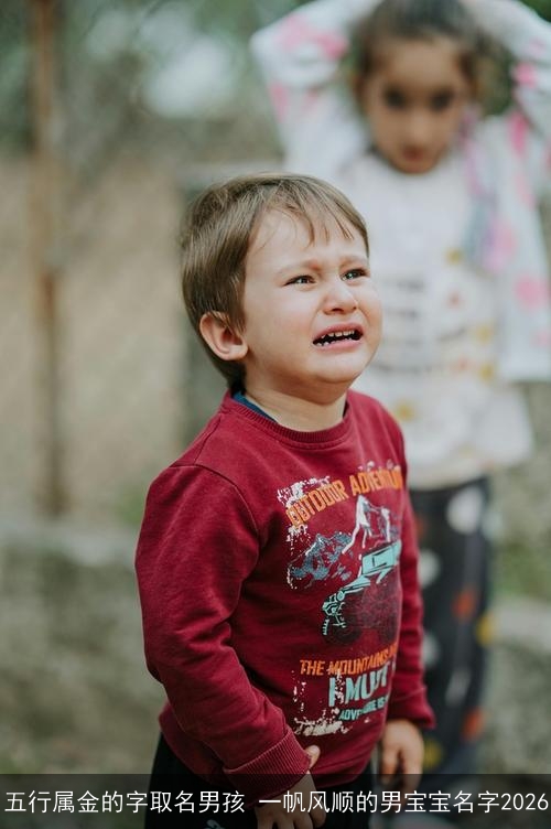 五行属金的字取名男孩 一帆风顺的男宝宝名字2026 五行属金的字取名男孩 一帆风顺的男宝宝名字2026