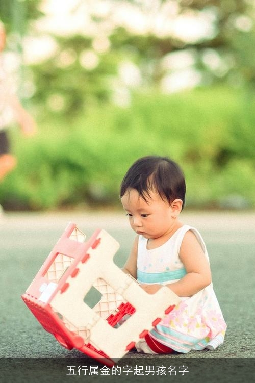 五行属金的字起男孩名字 五行属金的字起男孩名字