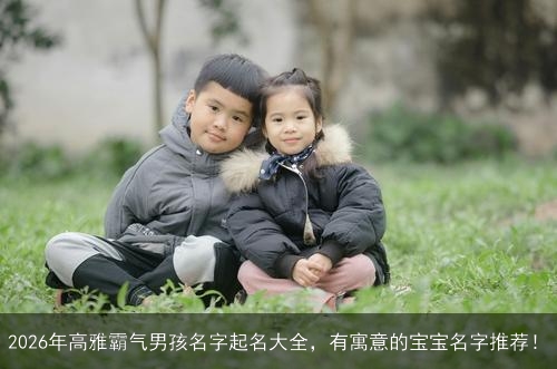 2026年高雅霸气男孩名字起名大全,有寓意的宝宝名字推荐! 2026年高雅霸气男孩名字起名大全,有寓意的宝宝名字推荐!