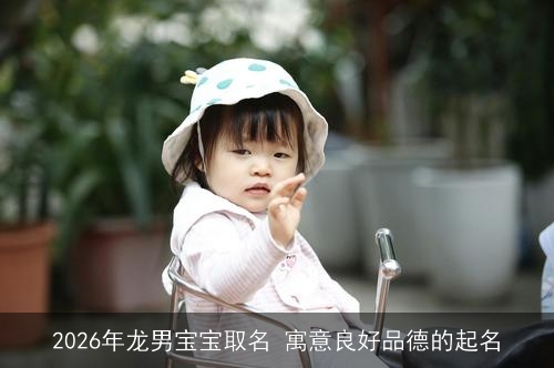 2026年龙男宝宝取名 寓意良好品德的起名 2026年龙男宝宝取名 寓意良好品德的起名