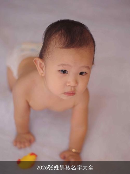2026张姓男孩名字大全 2026张姓男孩名字大全