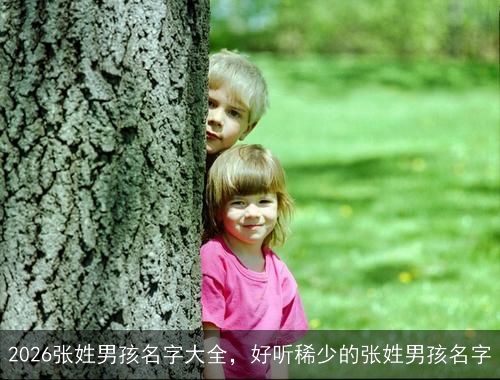 2026张姓男孩名字大全,好听稀少的张姓男孩名字 2026张姓男孩名字大全,好听稀少的张姓男孩名字