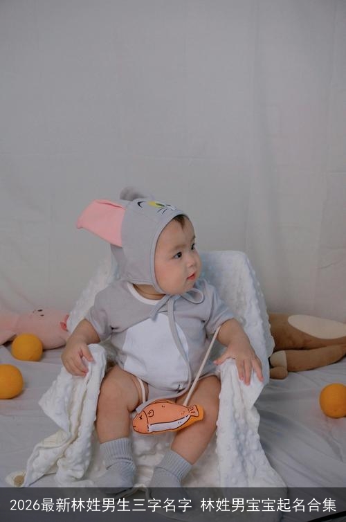 2026最新林姓男生三字名字 林姓男宝宝起名合集 2026最新林姓男生三字名字 林姓男宝宝起名合集