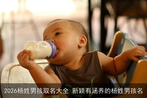 2026杨姓男孩取名大全 新颖有涵养的杨姓男孩名 2026杨姓男孩取名大全 新颖有涵养的杨姓男孩名