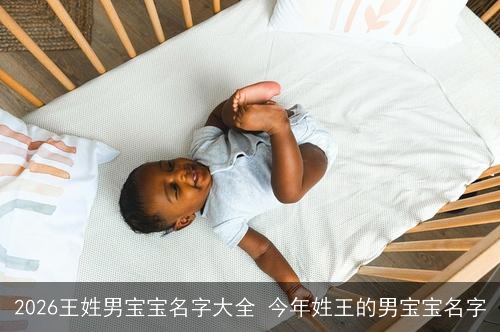 2026王姓男宝宝名字大全 今年姓王的男宝宝名字 2026王姓男宝宝名字大全 今年姓王的男宝宝名字