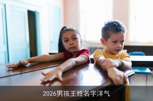 2026男孩王姓名字洋气 2026男孩王姓名字洋气