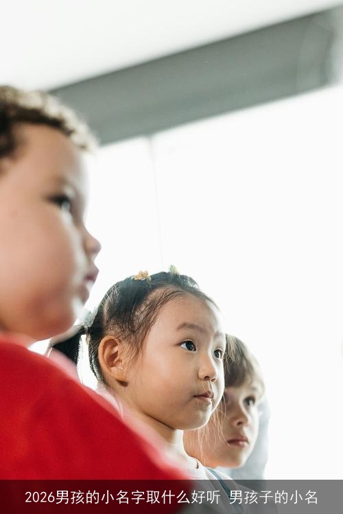 2026男孩的小名字取什么好听 男孩子的小名 2026男孩的小名字取什么好听 男孩子的小名