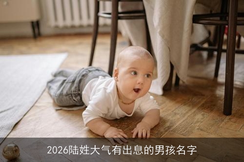 2026陆姓大气有出息的男孩名字 2026陆姓大气有出息的男孩名字
