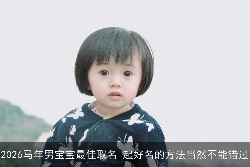 2026马年男宝宝最佳取名 起好名的方法当然不能错过 2026马年男宝宝最佳取名 起好名的方法当然不能错过
