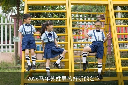 2026马年苏姓男孩好听的名字 2026马年苏姓男孩好听的名字