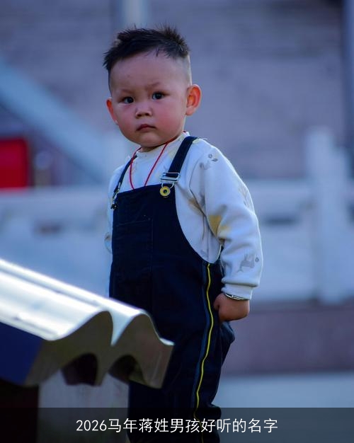 2026马年蒋姓男孩好听的名字 2026马年蒋姓男孩好听的名字