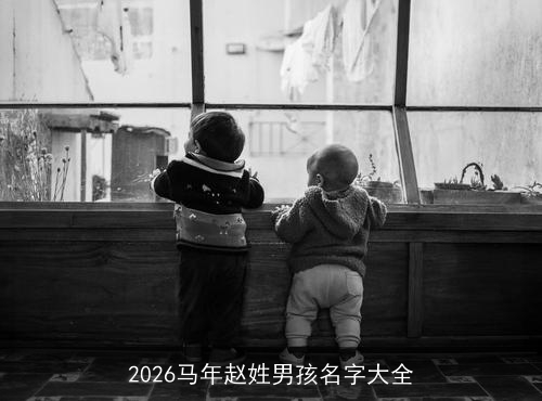2026马年赵姓男孩名字大全 2026马年赵姓男孩名字大全
