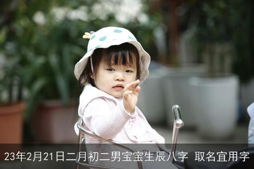 23年2月21日二月初二男宝宝生辰八字 取名宜用字 23年2月21日二月初二男宝宝生辰八字 取名宜用字
