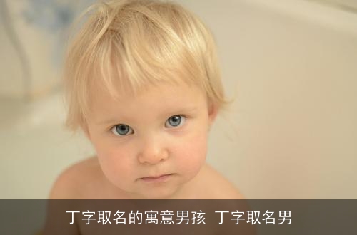 丁字取名的寓意男孩 丁字取名男 丁字取名的寓意男孩 丁字取名男
