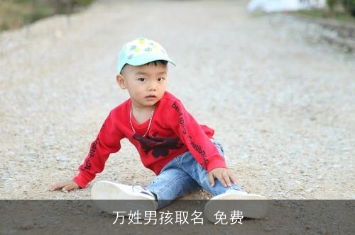 万姓男孩取名 免费 万姓男孩取名 免费