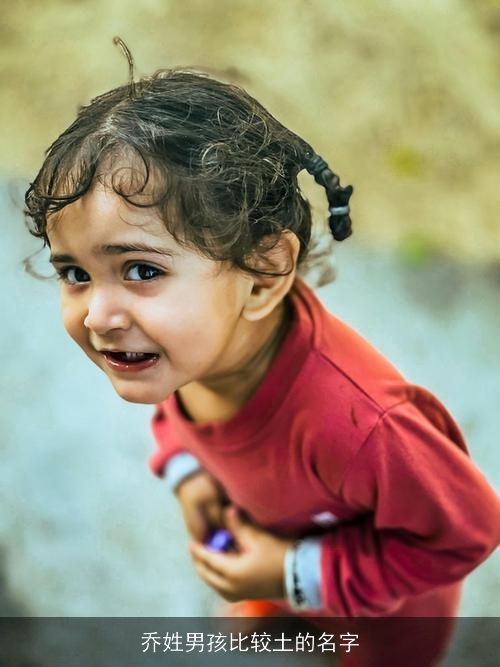 乔姓男孩比较土的名字 乔姓男孩比较土的名字