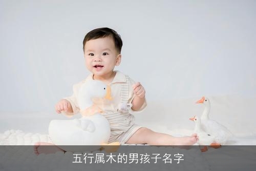 五行属木的男孩子名字 五行属木的男孩子名字