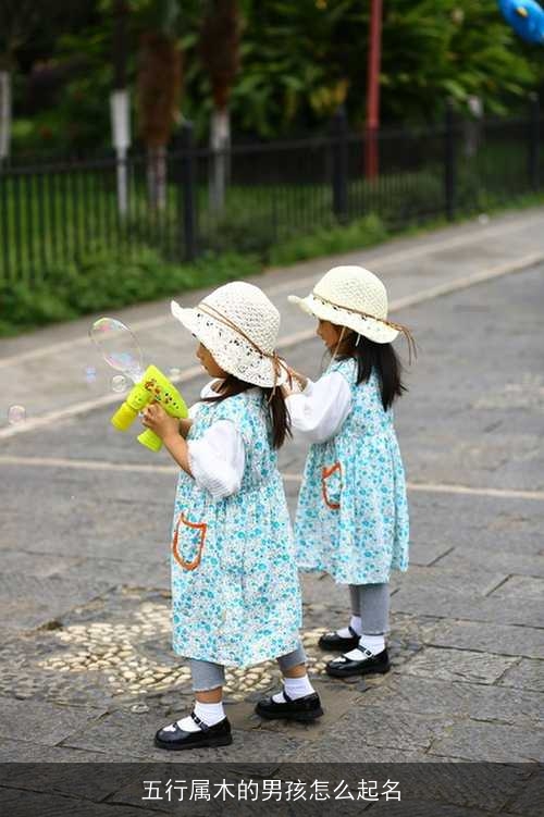 五行属木的男孩怎么起名 五行属木的男孩怎么起名
