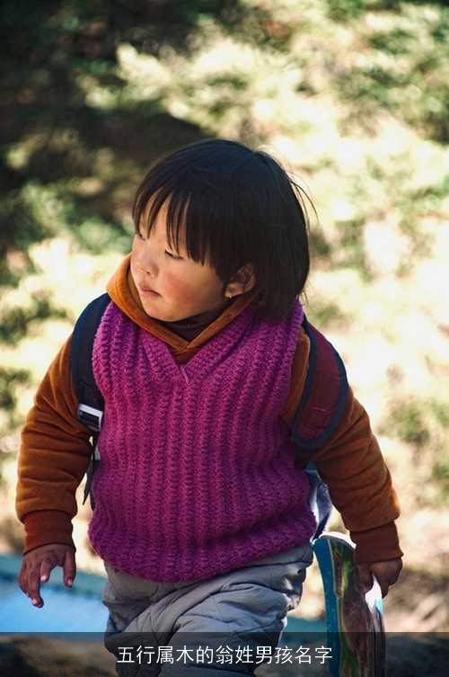 五行属木的翁姓男孩名字 五行属木的翁姓男孩名字