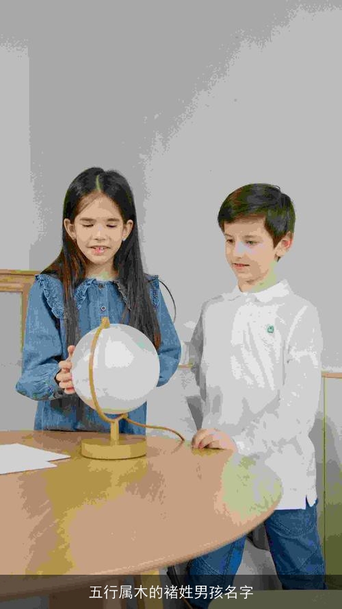 五行属木的褚姓男孩名字 五行属木的褚姓男孩名字