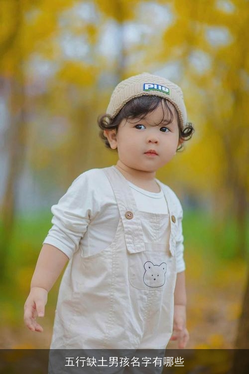 五行缺土男孩名字有哪些 五行缺土男孩名字有哪些