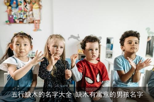 五行缺木的名字大全 缺木有寓意的男孩名字 五行缺木的名字大全 缺木有寓意的男孩名字