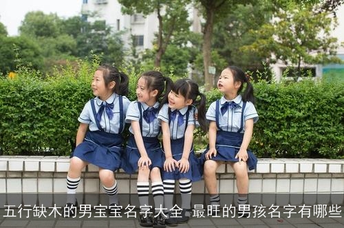 五行缺木的男宝宝名字大全 最旺的男孩名字有哪些 五行缺木的男宝宝名字大全 最旺的男孩名字有哪些