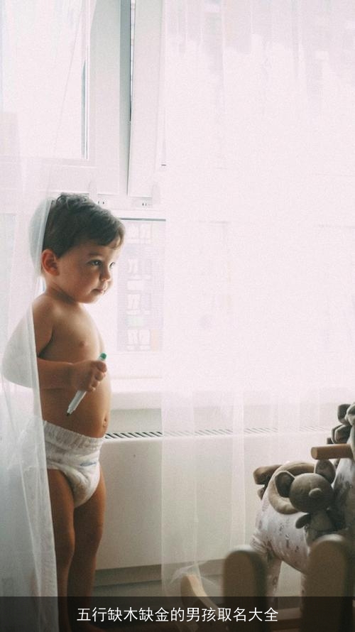 五行缺木缺金的男孩取名大全 五行缺木缺金的男孩取名大全
