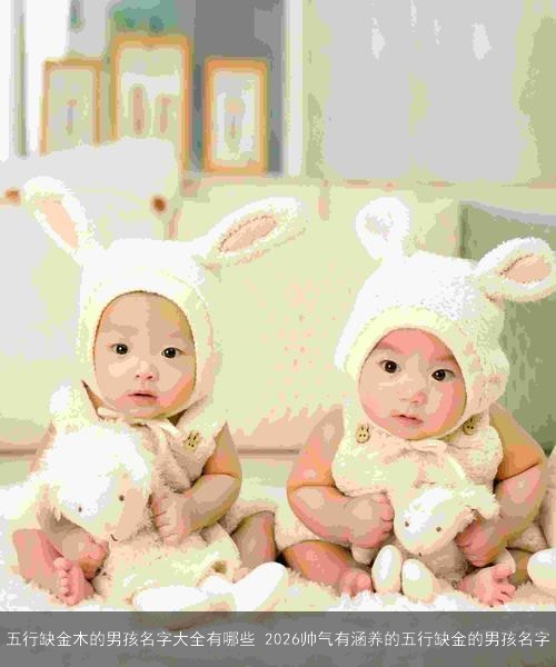 五行缺金木的男孩名字大全有哪些 2026帅气有涵养的五行缺金的男孩名字 五行缺金木的男孩名字大全有哪些 2026帅气有涵养的五行缺金的男孩名字