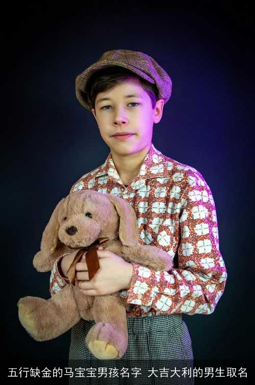 五行缺金的马宝宝男孩名字 大吉大利的男生取名 五行缺金的马宝宝男孩名字 大吉大利的男生取名