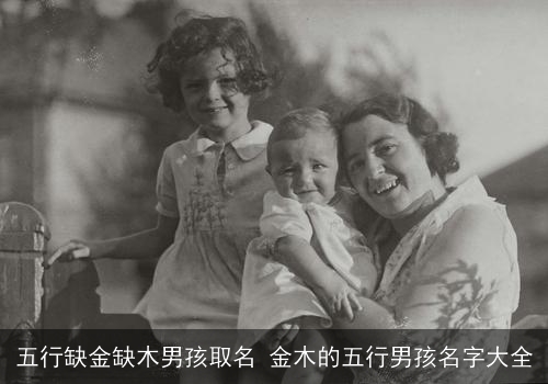 五行缺金缺木男孩取名 金木的五行男孩名字大全 五行缺金缺木男孩取名 金木的五行男孩名字大全