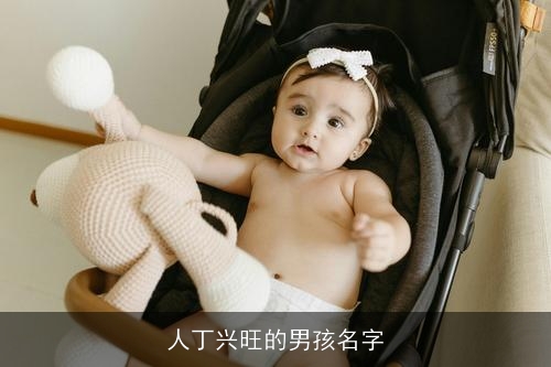 人丁兴旺的男孩名字 人丁兴旺的男孩名字