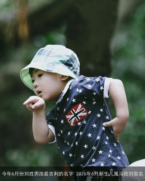 今年6月份刘姓男孩最吉利的名字 2026年6月新生儿属马姓刘取名 今年6月份刘姓男孩最吉利的名字 2026年6月新生儿属马姓刘取名