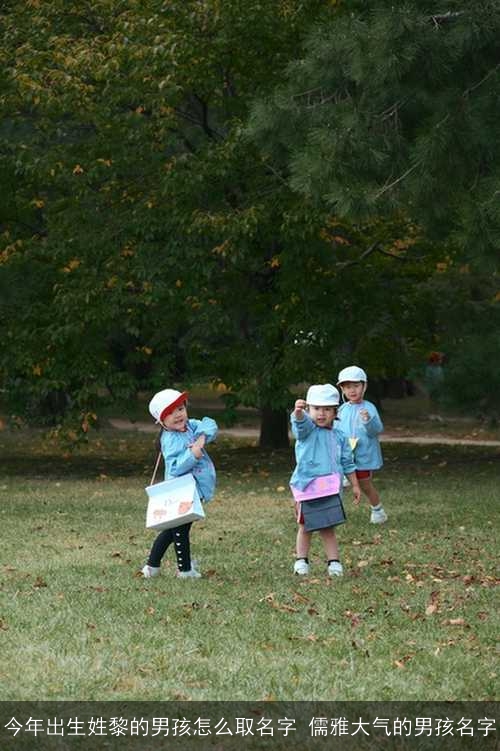 今年出生姓黎的男孩怎么取名字 儒雅大气的男孩名字 今年出生姓黎的男孩怎么取名字 儒雅大气的男孩名字