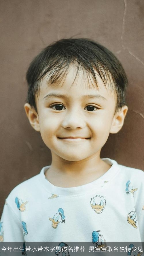 今年出生带水带木字男孩名推荐 男宝宝取名独特少见 今年出生带水带木字男孩名推荐 男宝宝取名独特少见
