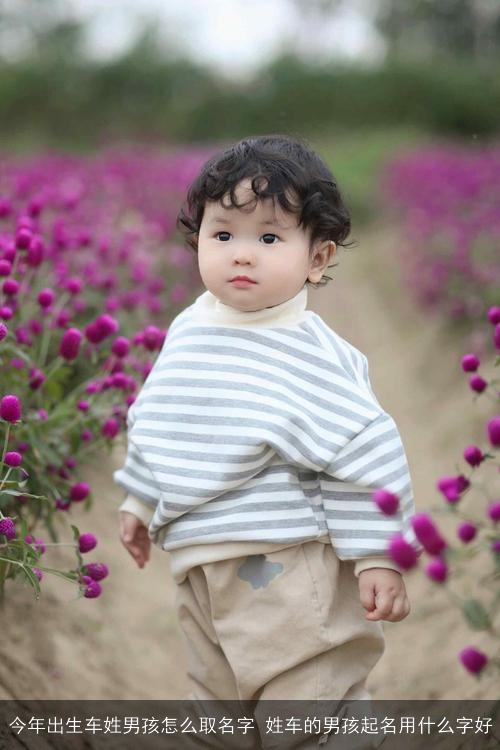 今年出生车姓男孩怎么取名字 姓车的男孩起名用什么字好 今年出生车姓男孩怎么取名字 姓车的男孩起名用什么字好