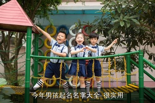 今年男孩起名名字大全 很实用 今年男孩起名名字大全 很实用