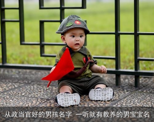 从政当官好的男孩名字 一听就有教养的男宝宝名 从政当官好的男孩名字 一听就有教养的男宝宝名