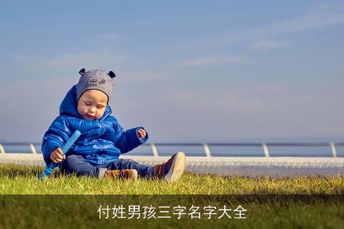 付姓男孩三字名字大全 付姓男孩三字名字大全