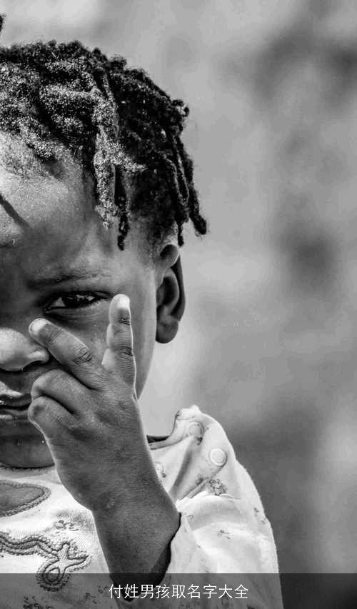 付姓男孩取名字大全 付姓男孩取名字大全