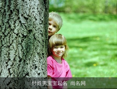付姓男宝宝起名 尚名网 付姓男宝宝起名 尚名网