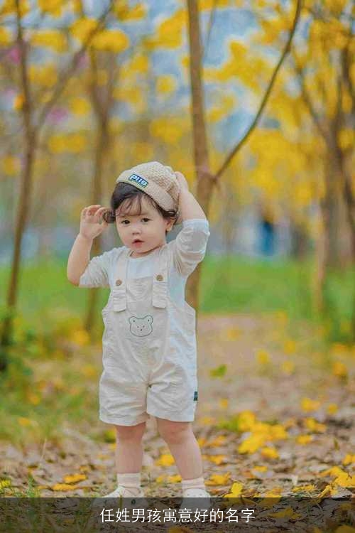 任姓男孩寓意好的名字 任姓男孩寓意好的名字