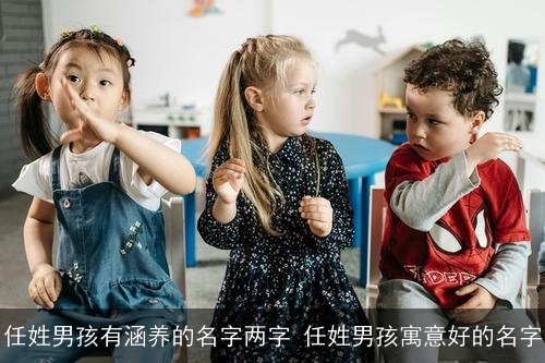 任姓男孩有涵养的名字两字 任姓男孩寓意好的名字 任姓男孩有涵养的名字两字 任姓男孩寓意好的名字